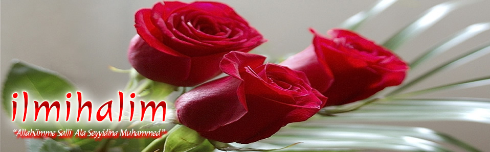 İlmihal Banner